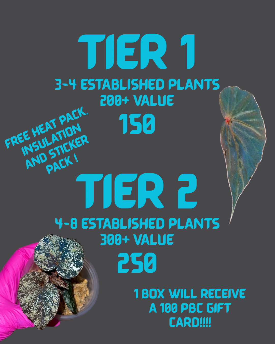 Black Friday Mystery Box