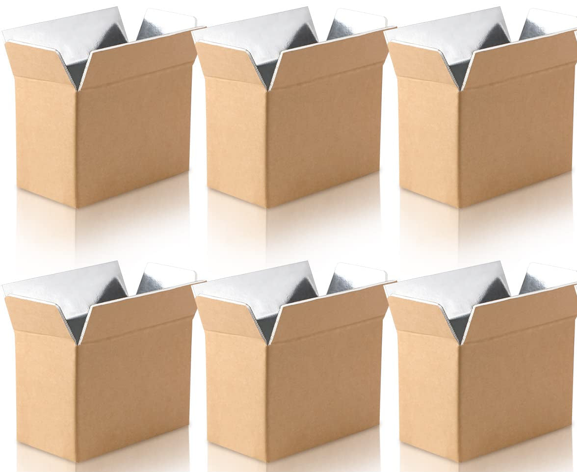 Insulated Shipping Box for Winter Shipping