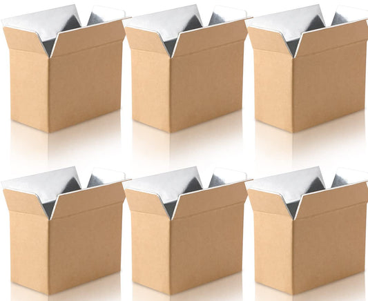 Insulated Shipping Box for Winter Shipping