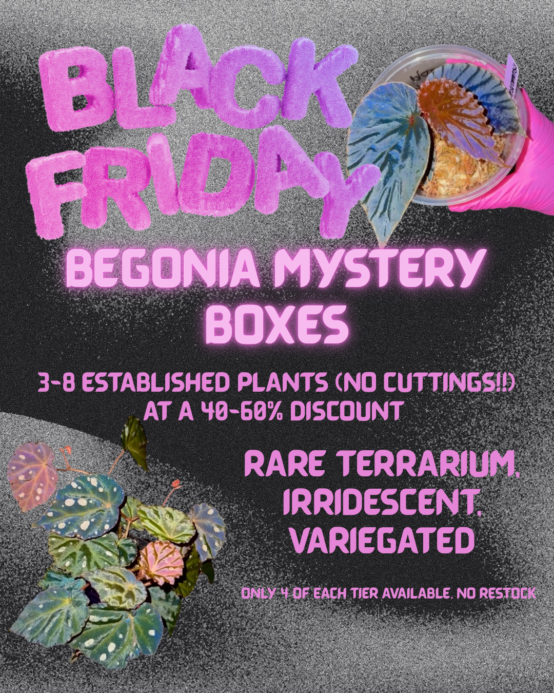Black Friday Mystery Box