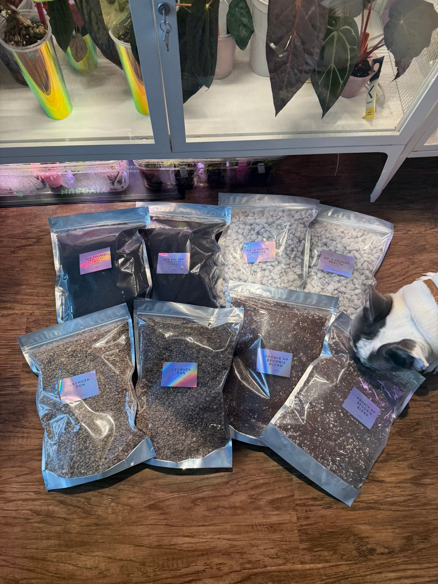 1 Gallon Extra Chonky No. 4 Perlite